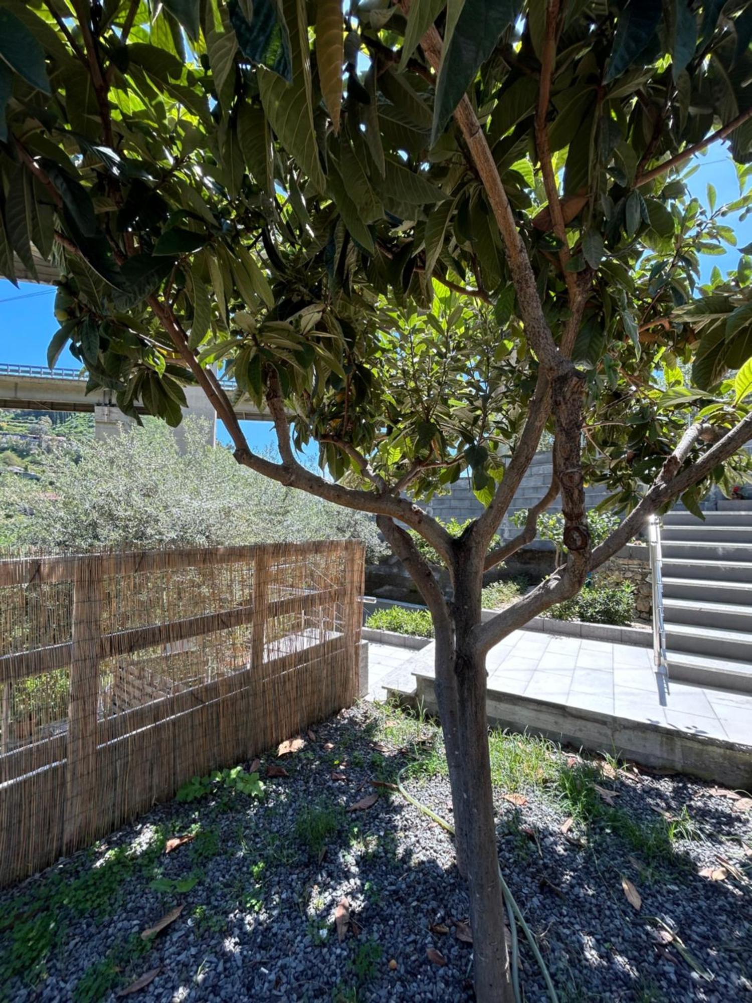 Taormina Stone Home Exterior photo